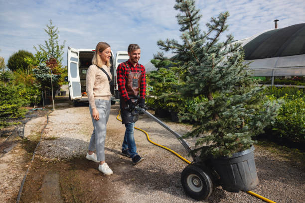 Best Hedge Trimming  in Hauser, ID